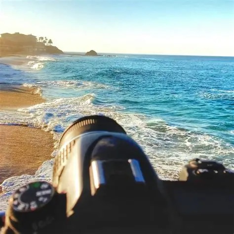 Trixie Photography